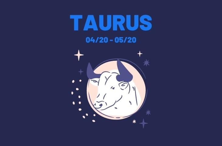 Zodiac sign Taurus Zodiac signs Galaxy Academy