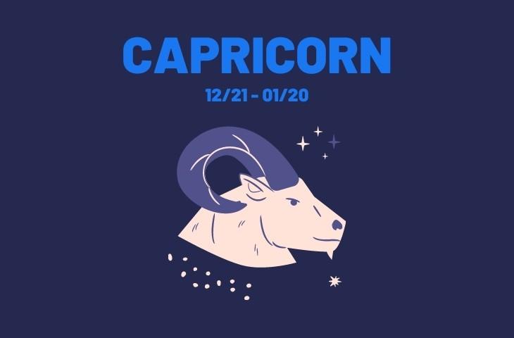Zodiac sign - Capricorn