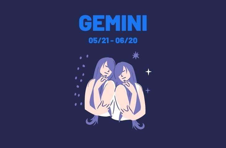 Zodiac Sign - Gemini